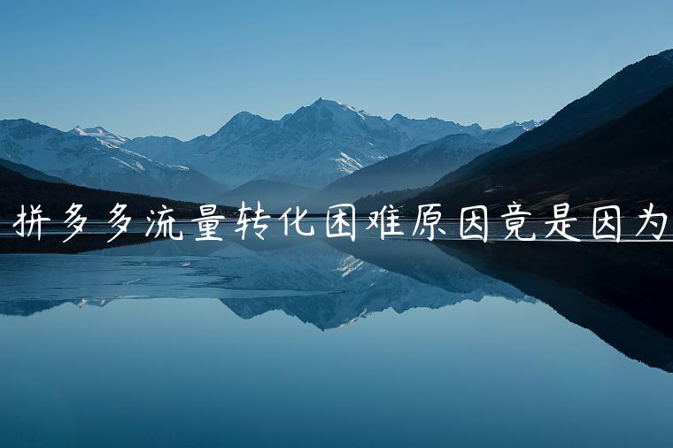 拼多多流量轉(zhuǎn)化困難原因竟是因為